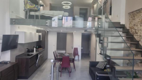 Magnifique Loft Cannes